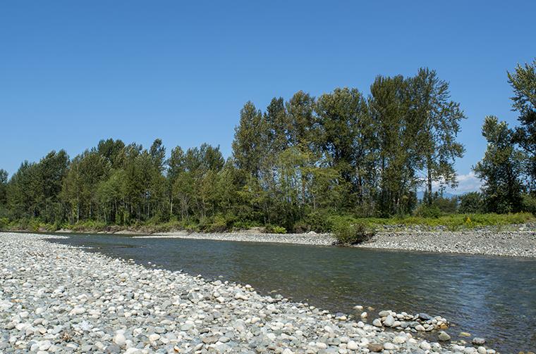 Another beautiful sunny day at the river